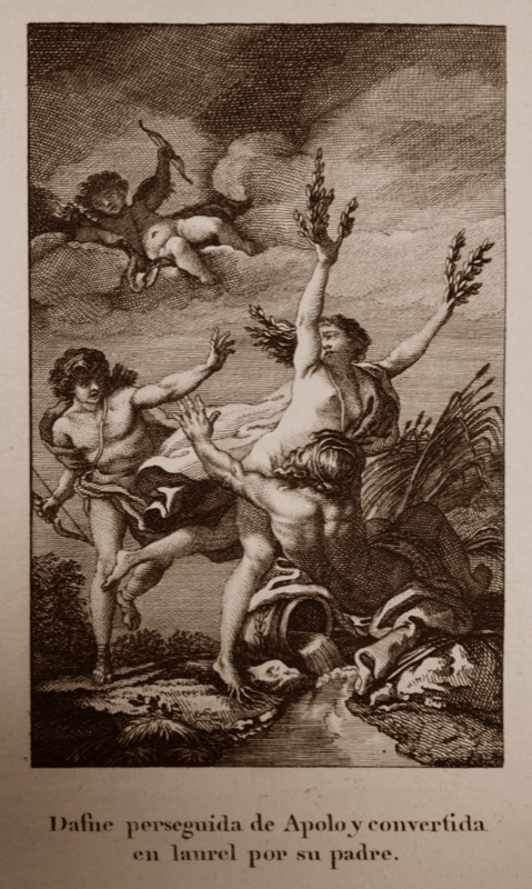 images/images/M.BPAB.Mad.1805-1819i.t1/M.BPAB.Mad.1805-1819i.t1.18.jpg